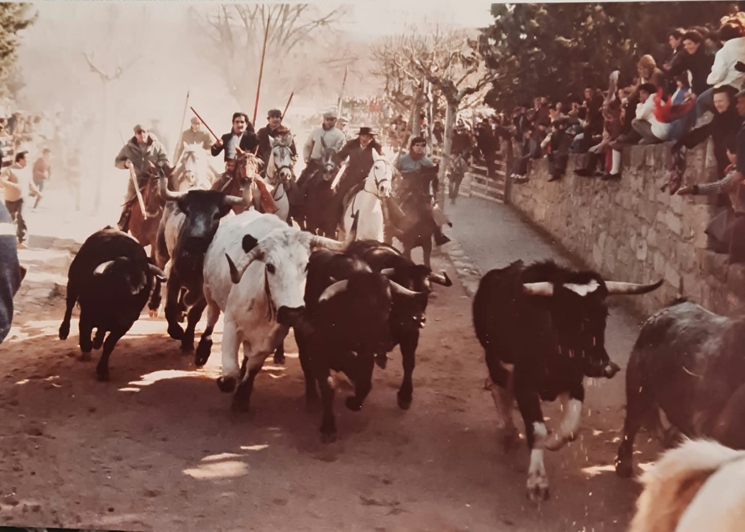 Álvaro Matías Martín recibirá la Garrocha de Plata en el PreCarnaval 2025