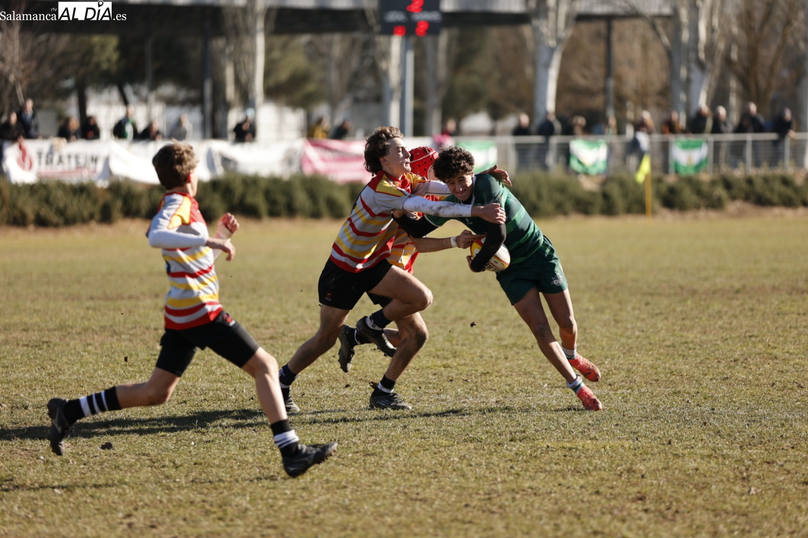 Éxito total del rubgy con el Campeonato de España de Selecciones Autonómicas en La Aldehuela (FOTOS)