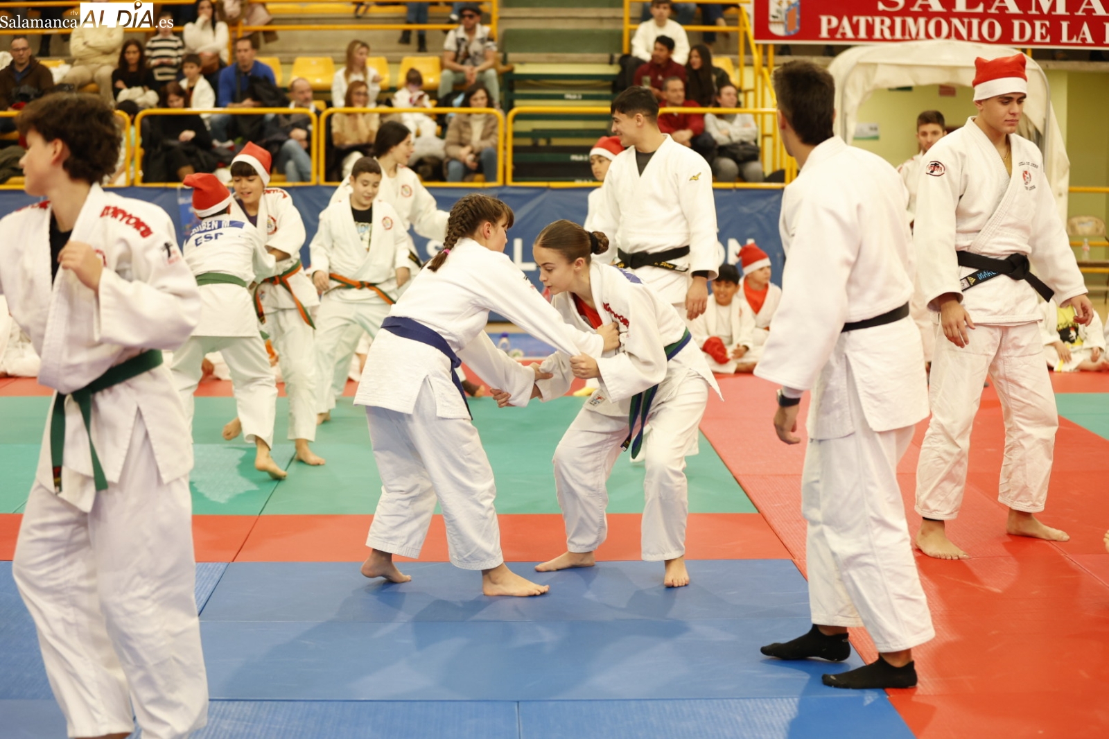 Würzburg acoge el Festival de Navidad de la Delegación Salmantina de Judo (FOTOS)