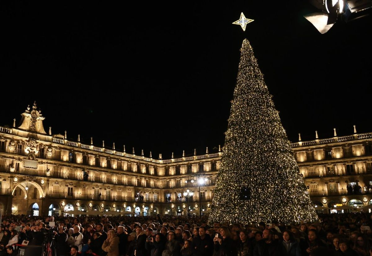 Otras tres personas sancionadas por entrar en el perímetro del árbol de la Plaza Mayor