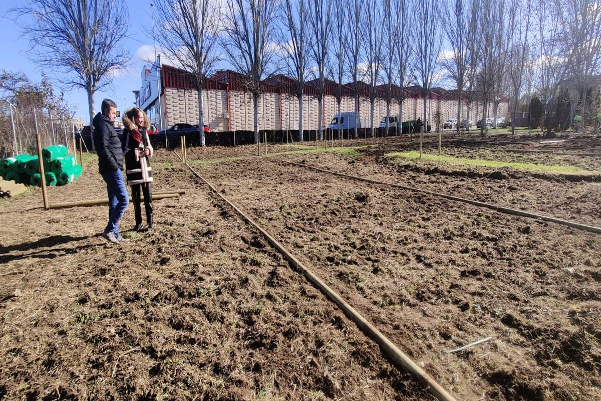 Los huertos urbanos de Santa Marta se trasladan de ubicación