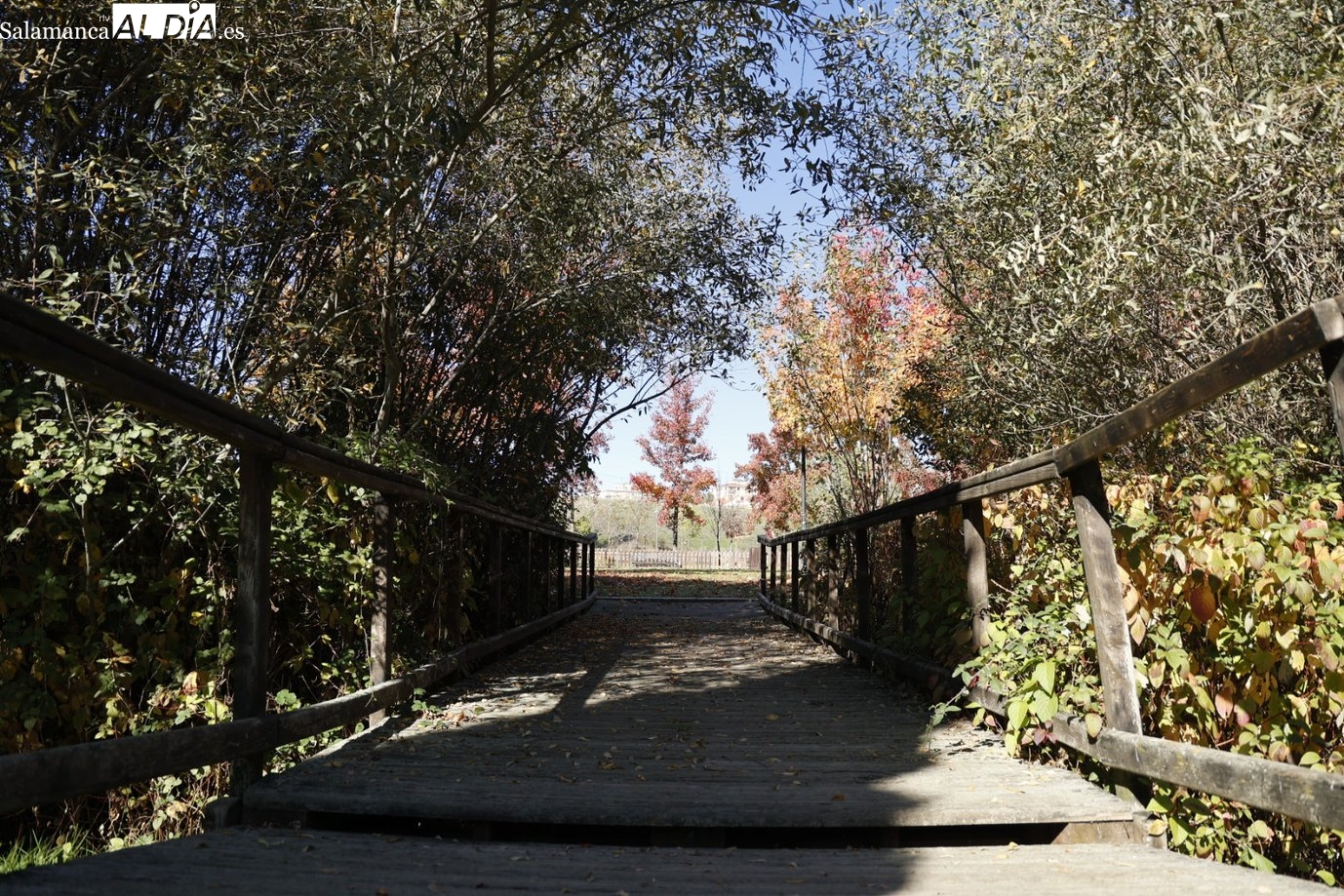 Cinco parques de Salamanca para perderse en la naturaleza