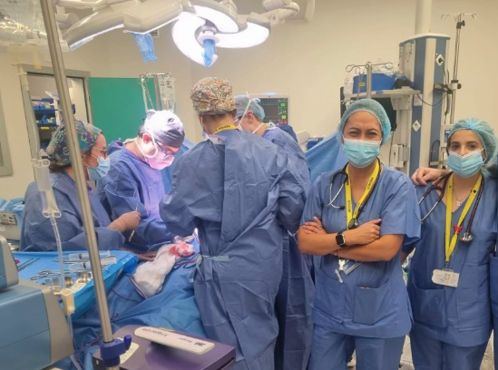 Nuevo récord del Servicio de Nefrología del Hospital Universitario de Salamanca