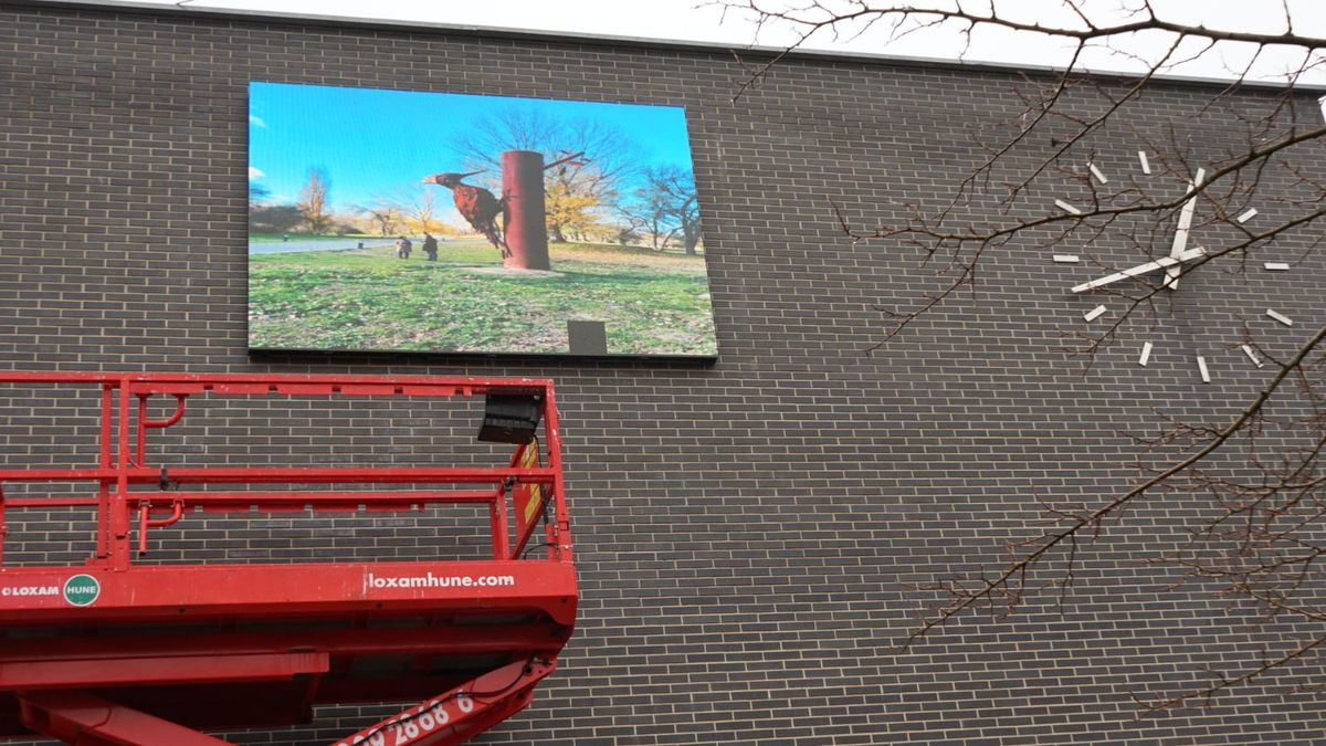 Santa Marta potencia el comercio del municipio a través del ambicioso proyecto BeSmart