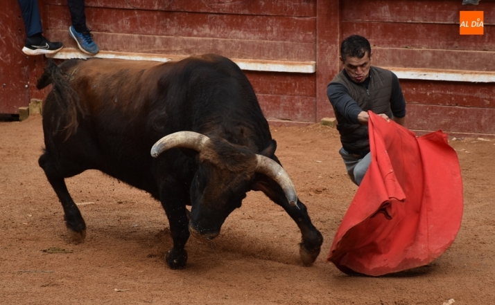 Jerónimo Sandoval reivindica un hueco en los carteles del Carnaval del Toro 2025