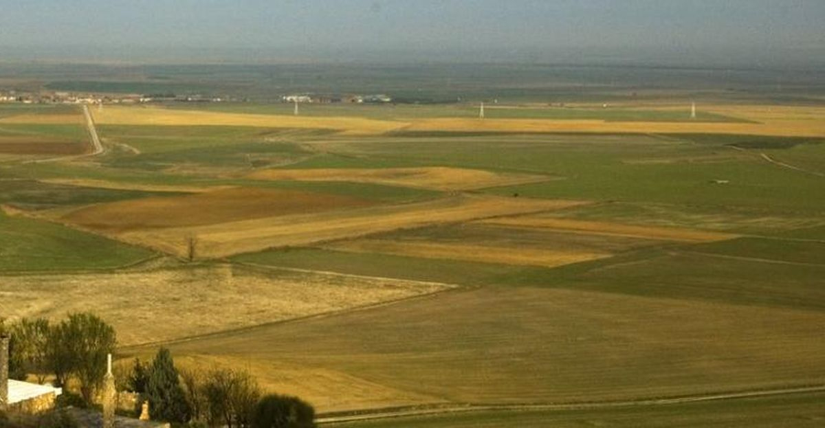 Así funciona el Programa Territorial de Fomento para Tierra de Campos 2024-2031