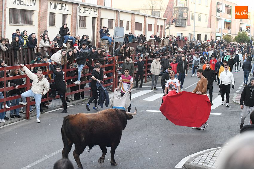Jilguero y Triguero, de los Hermanos Celador Zurdo, protagonizarán el Toro de San Sebastián