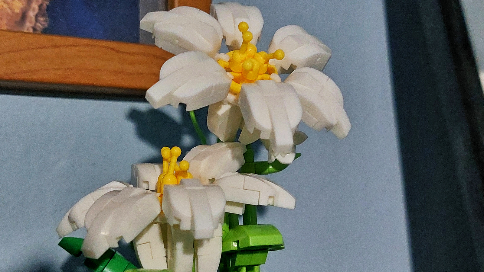 Esta flor me sobrevivirá 