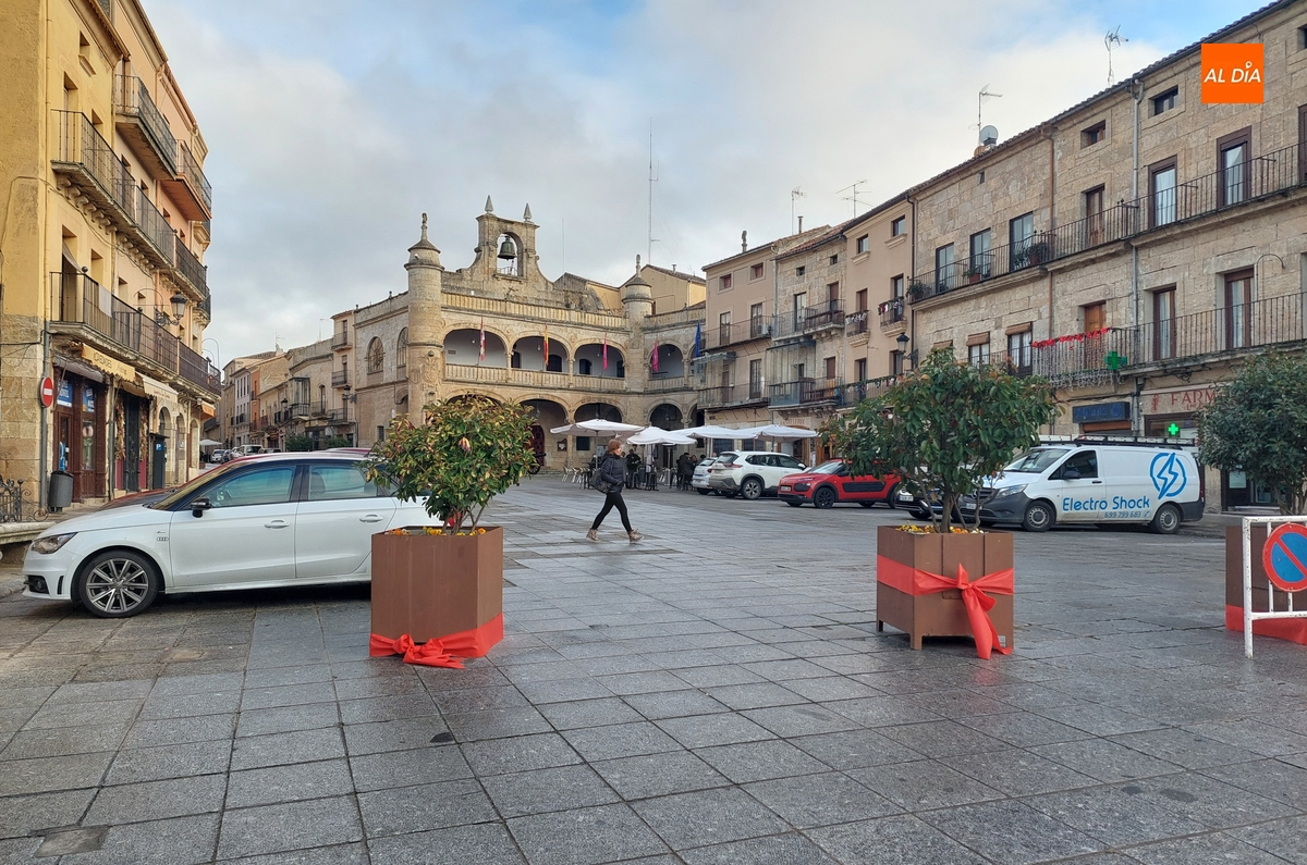 Despejado el camino para el paso este fin de semana del Cristo del Silencio y San Sebastián