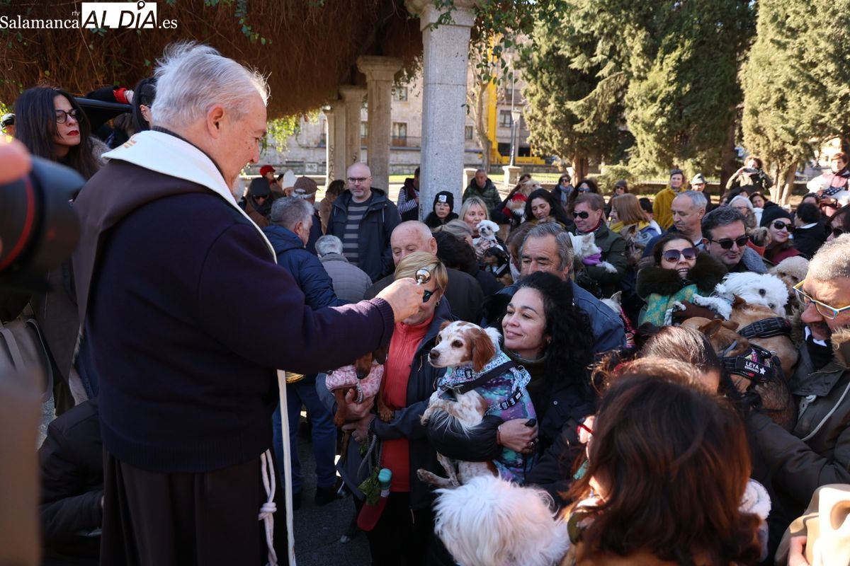Las mejores FOTOS y el VÍDEO de la tradicional bendición de los animales en Salamanca