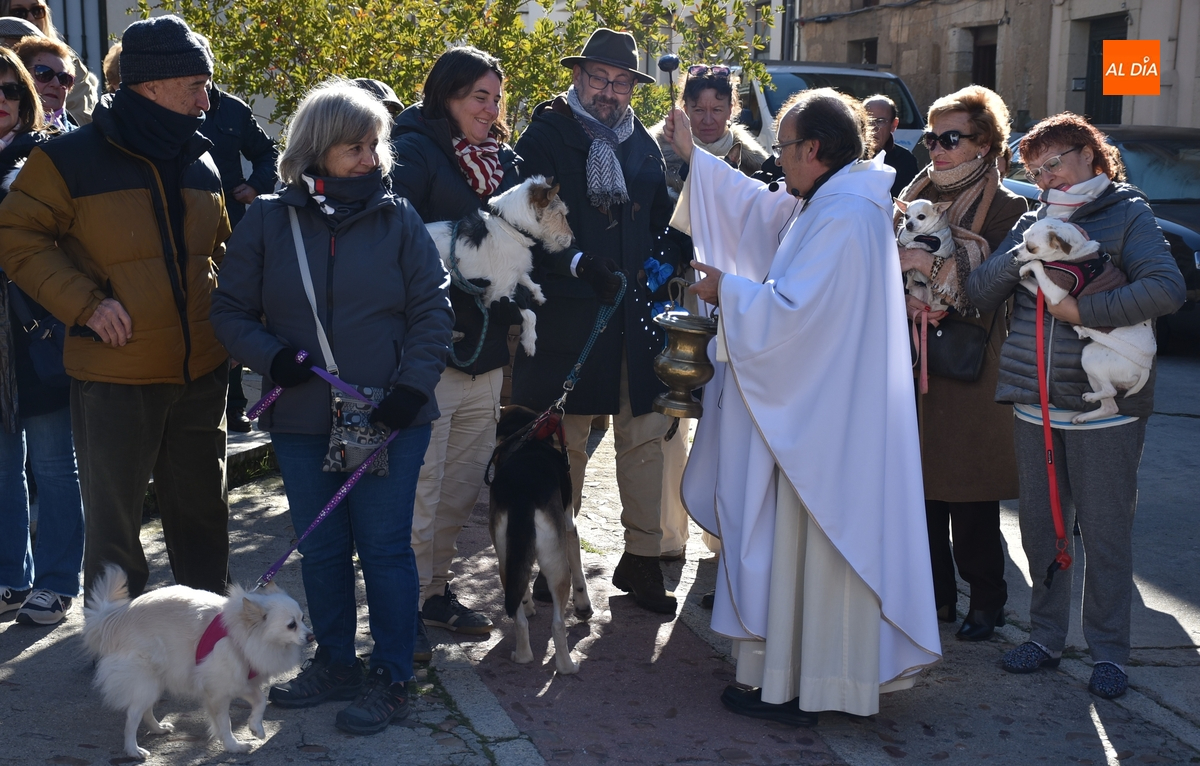 El patrón de los animales bendice a 13 perros antes de procesionar por las calles de San Andrés