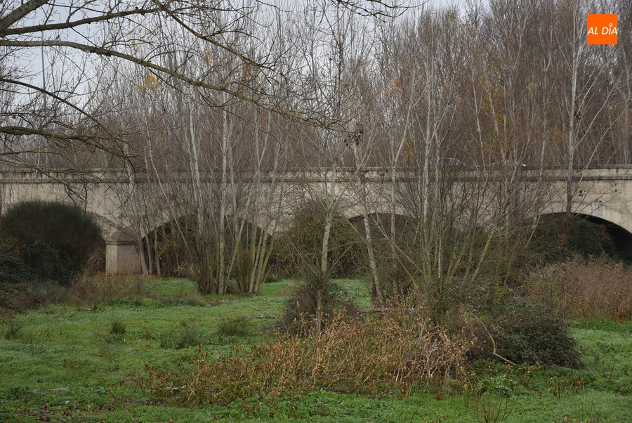 El Plan de Cauces 2024 llega a 15 municipios de la comarca con hasta 3.600€ de subvención