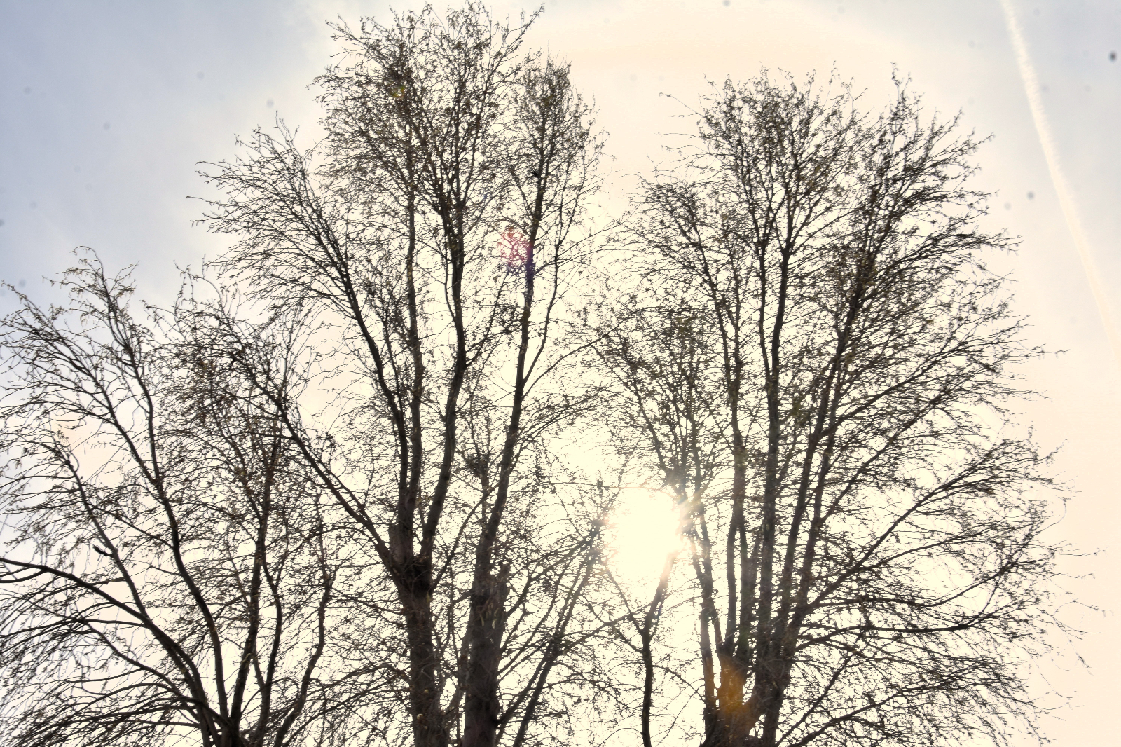 El retorno de los intensos