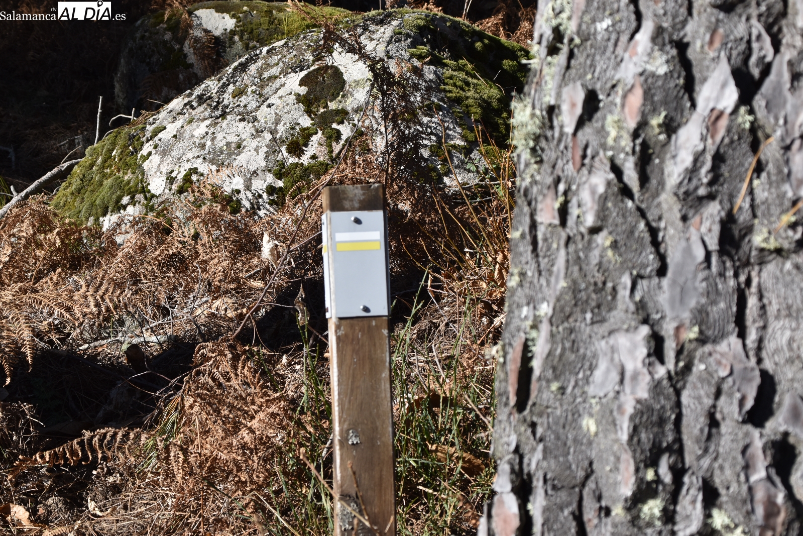 El camino hacia la Peña de Francia, una ruta senderista para disfrutar de la belleza de la sierra salmantina