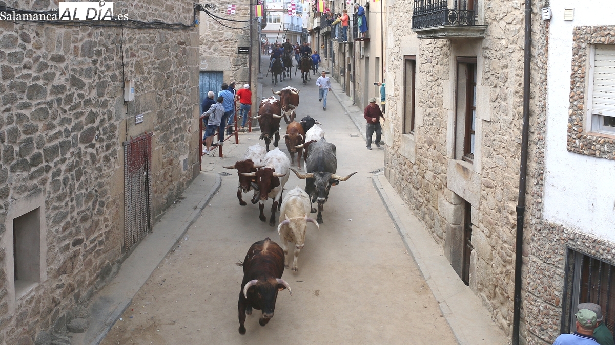Domingo López Chaves presidirá en Aldeadávila la entrega de premios de la Peña La Taurina
