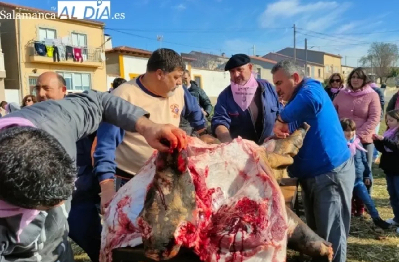 Todo listo en Mancera de Abajo para vivir su VII Matanza Tradicional