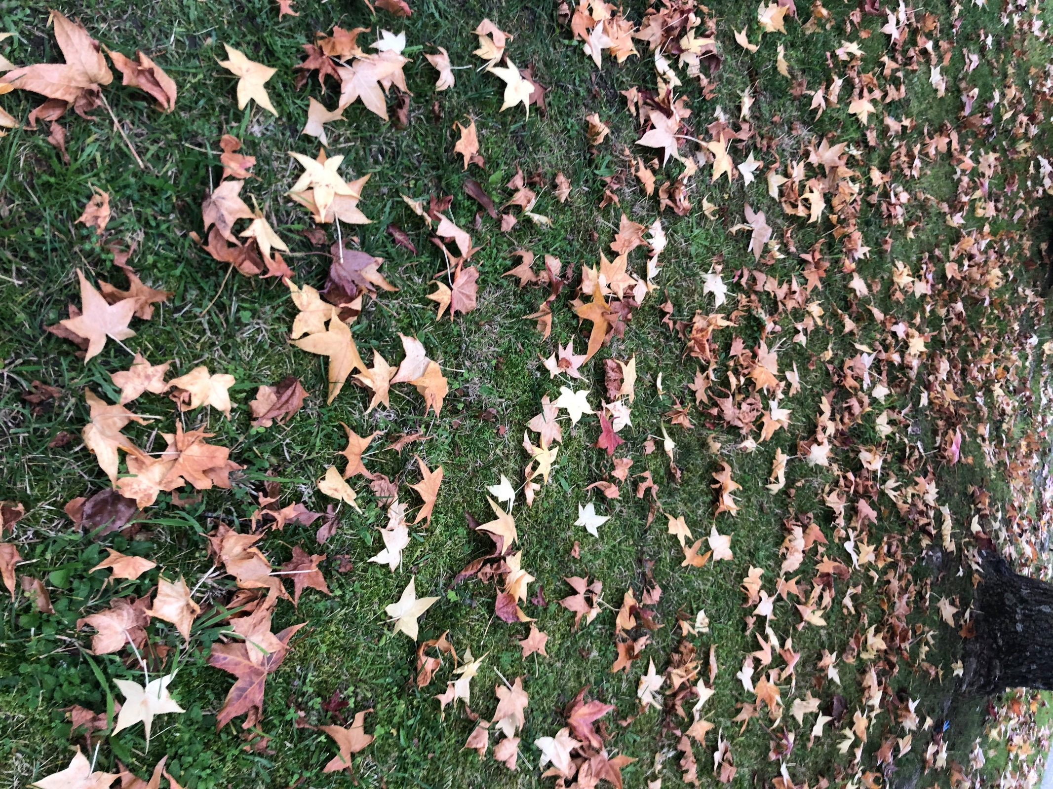 Não sejas tão duro contigo 