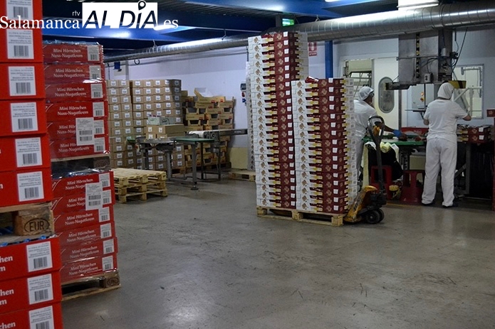 El Gobierno de España concede una inversión de 2,3 millones de euros para la ampliación de la empresa peñarandina Dulca