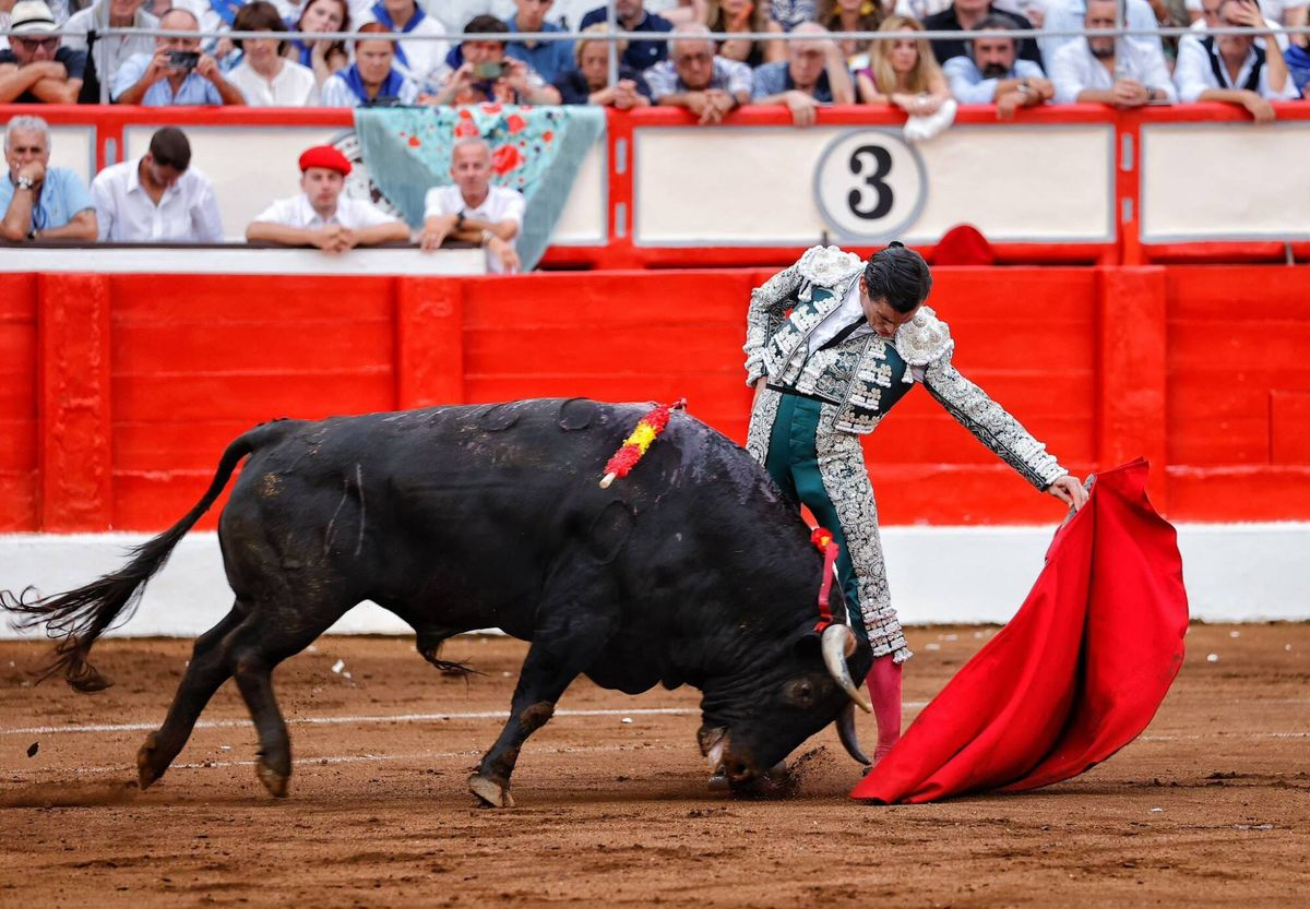Protagonismo del Campo Charro en la próxima Feria de Santander