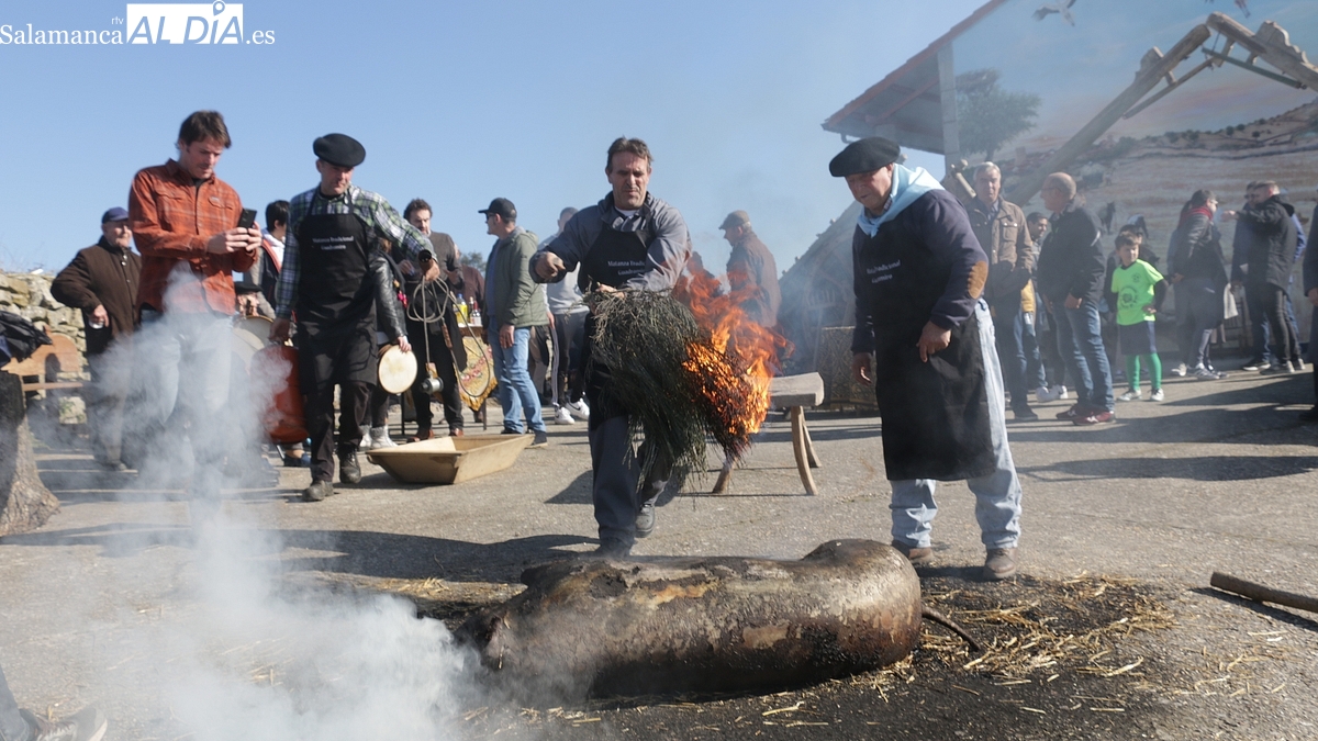 Guadramiro celebrará este sábado 1 de febrero su segunda Fiesta de la Matanza Tradicional