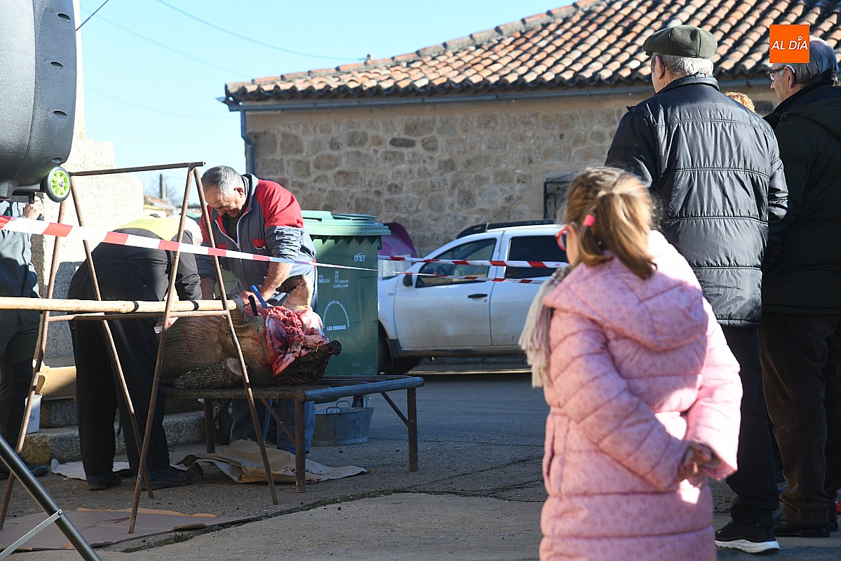 Cabrillas celebra la Matanza Tradicional con gran expectación 