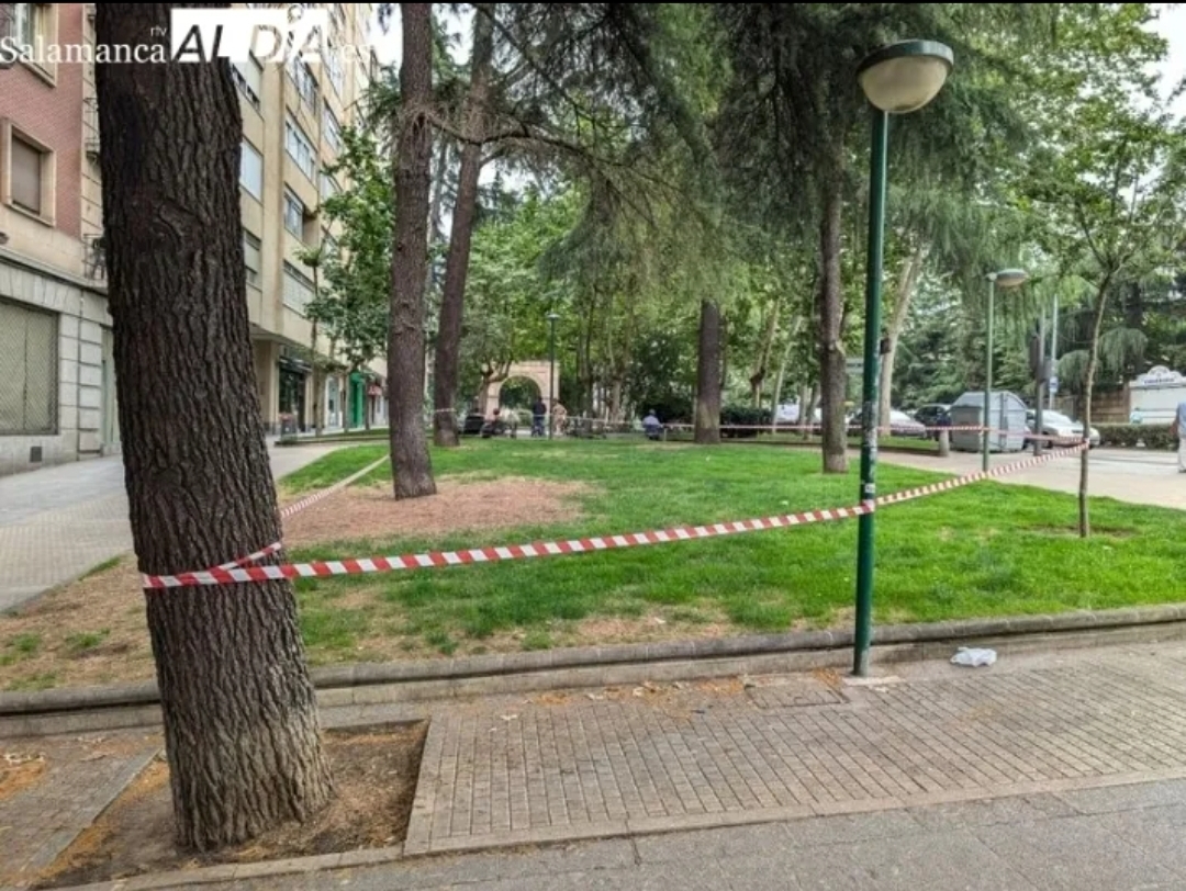 Cerrados desde esta tarde parques y la zona arbolada de la Aldehuela por el fuerte viento
