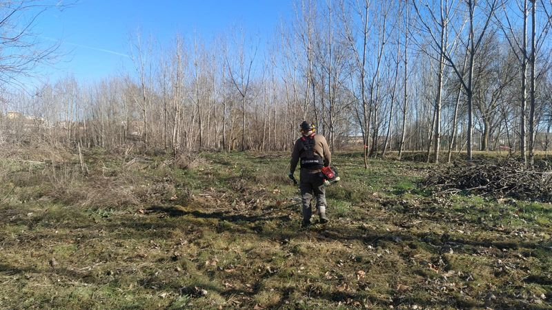 Alba de Tormes impulsa la restauración ambiental de las playas del río Tormes