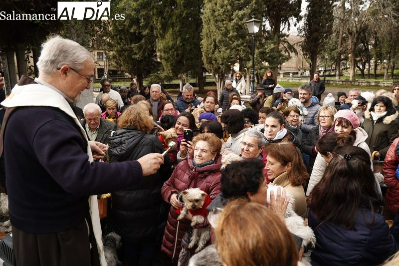 Fecha, horario y detalles de la tradicional bendición de los animales en Salamanca