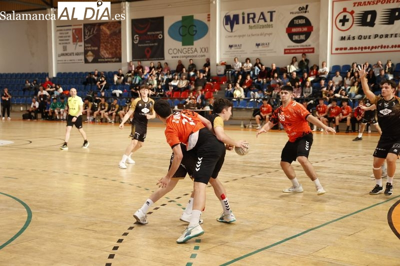 Derrota del BM Salamanca en casa del Ademar (32-28)