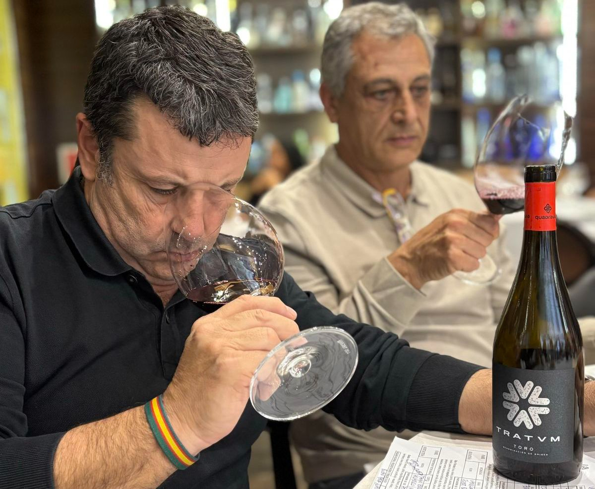 TRATVM 2020 (D.O. TORO), el histórico vino que se produce a 40 minutos de Salamanca