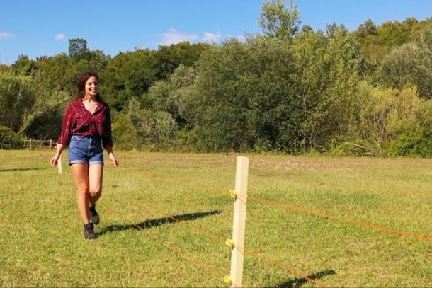 Pastores Eléctricos – Eficiencia y Seguridad para tu Propiedad