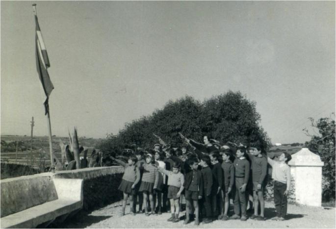 Ineptitud y excursiones