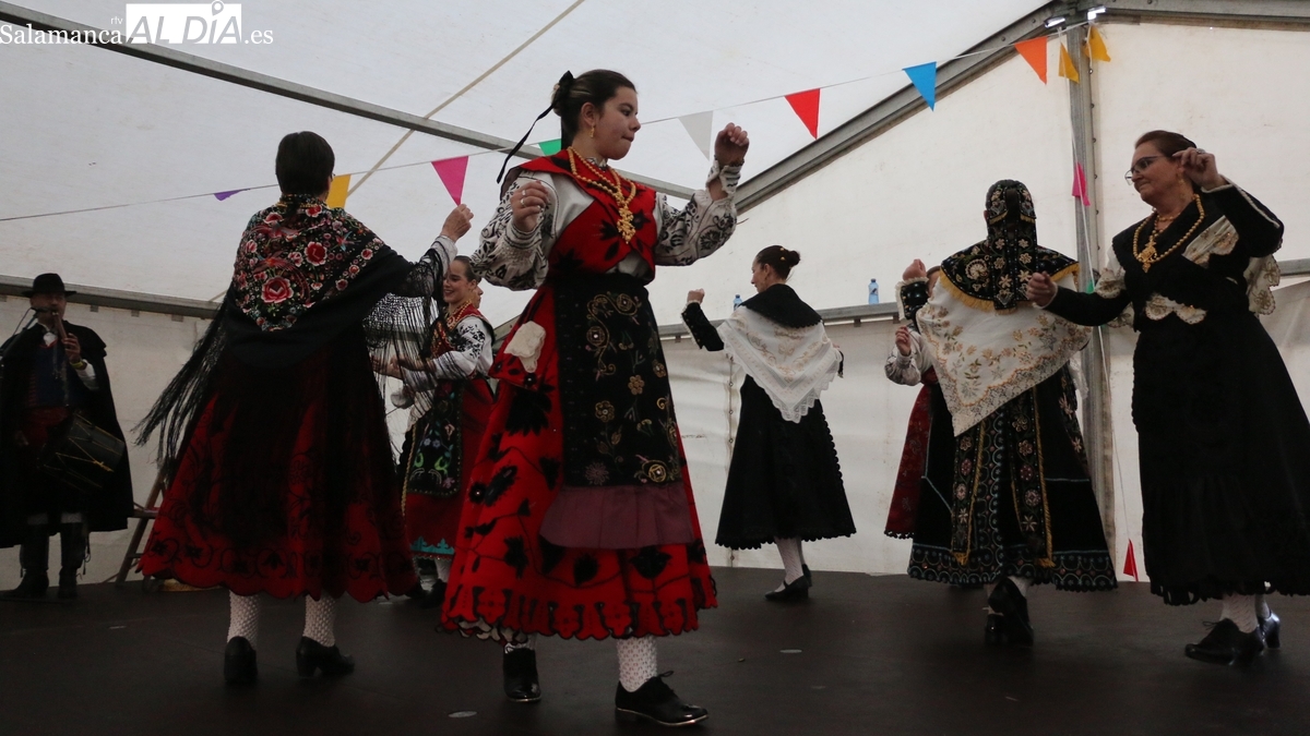 Festejos taurinos populares, degustaciones y mucha música para honrar a San Blas en Corporario