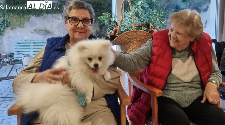 Perros terapéuticos en Gerialba por San Antón