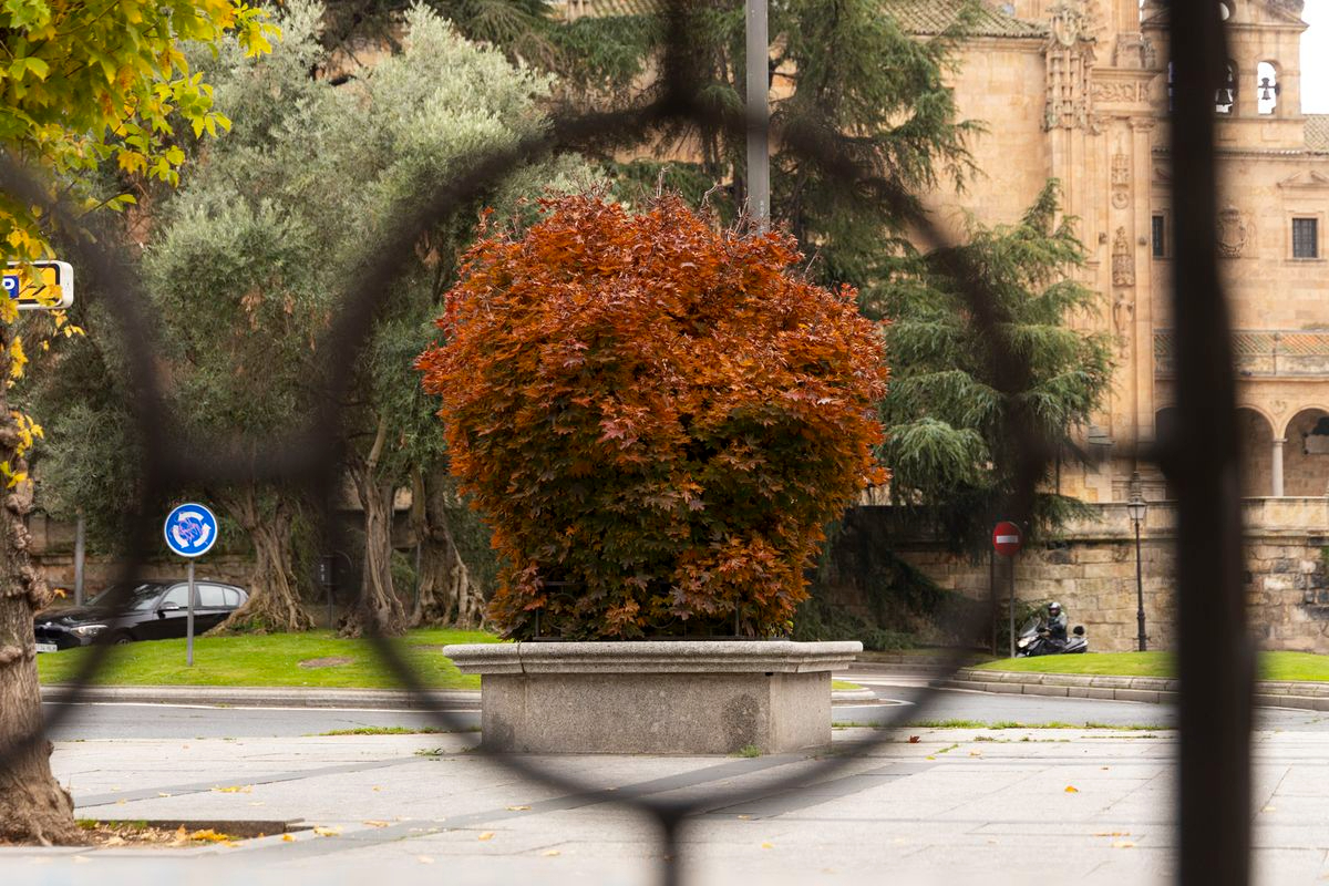 Cuanto más se mira... 