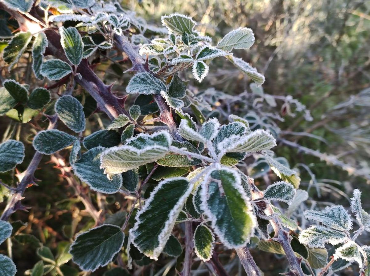 Más frío en Salamanca este miércoles: estas son las previsiones