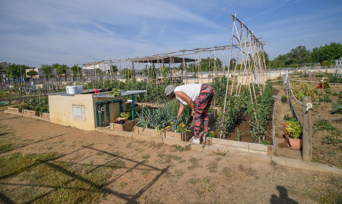Los cambios que llegan a los Huertos Urbanos de Salamanca