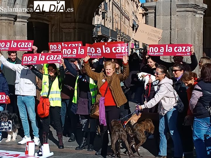Convocada una concentración en Salamanca para reivindicar los derechos de los perros de caza