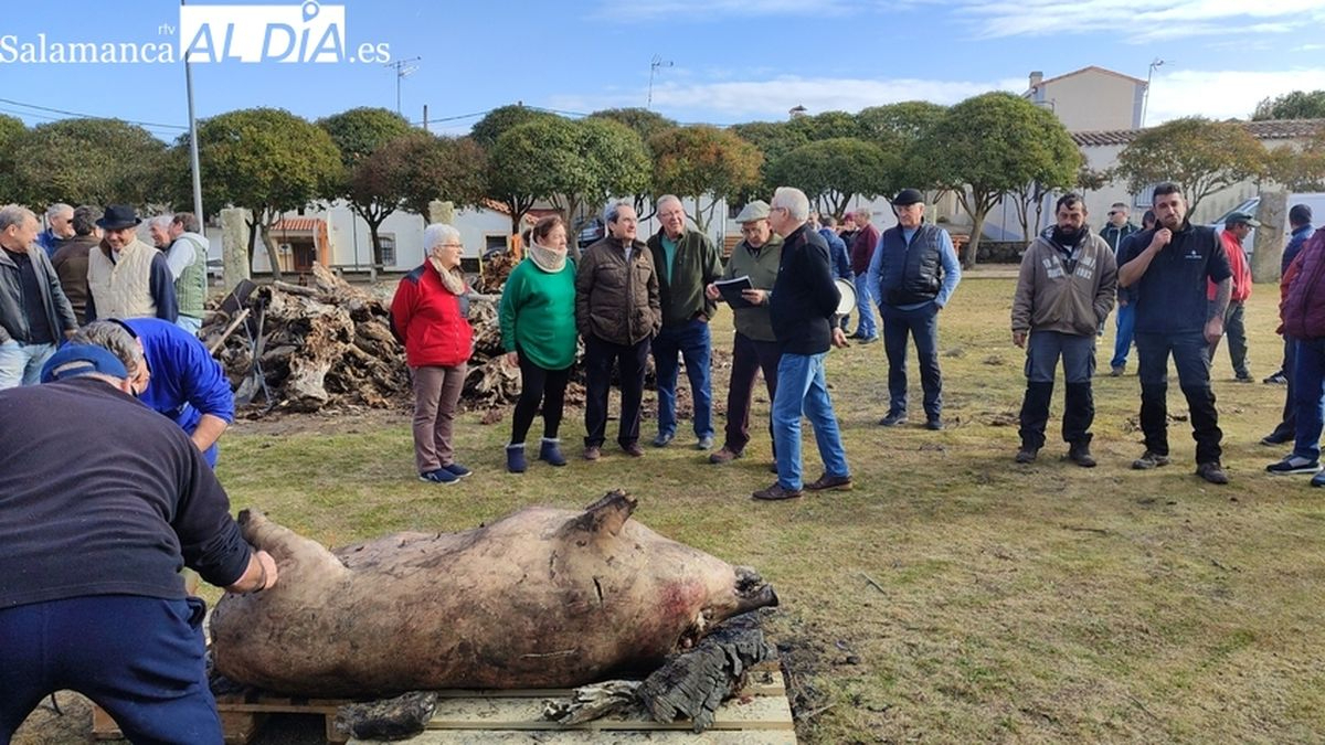 Fechas y lugares para disfrutar de la Matanza Típica en la provincia de Salamanca 