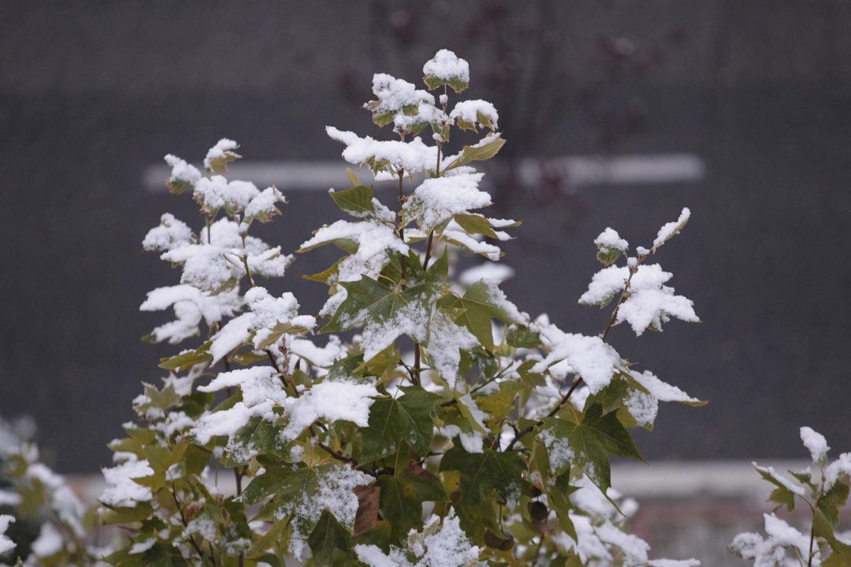 Salamanca, en aviso amarillo este martes por nevadas
