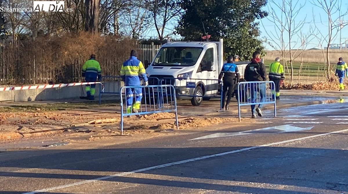 Movilizan a operarios y Policía Local por un reventón en la avenida de San Agustín
