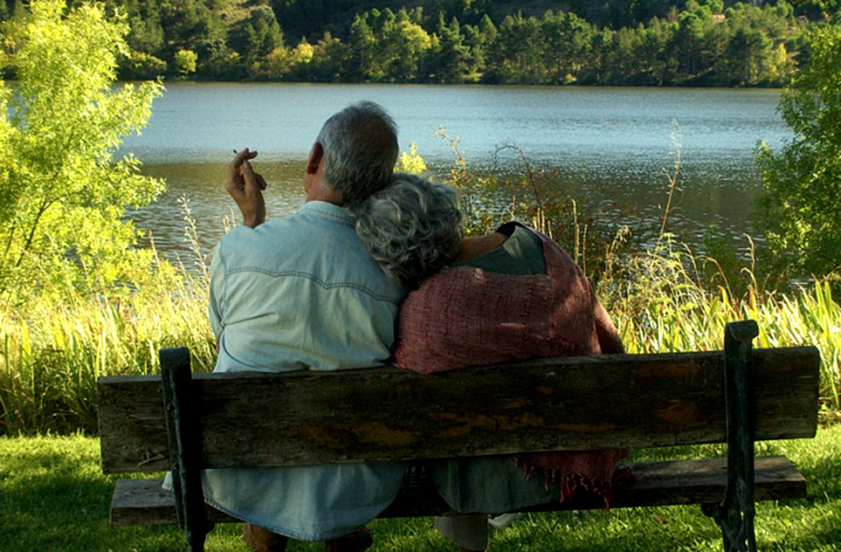 Entrada libre para ver los mejores cortes del último año en CyL