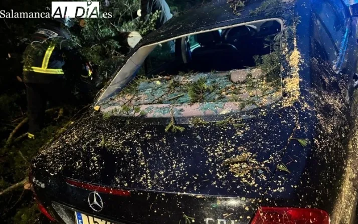 FOTOS | Cae un árbol de grandes dimensiones encima de un coche en Alba de Tormes | Imagen 1