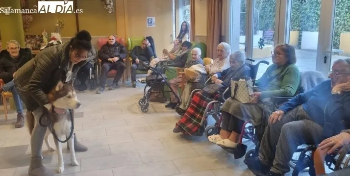 Perros terapéuticos en Gerialba por San Antón | Imagen 1