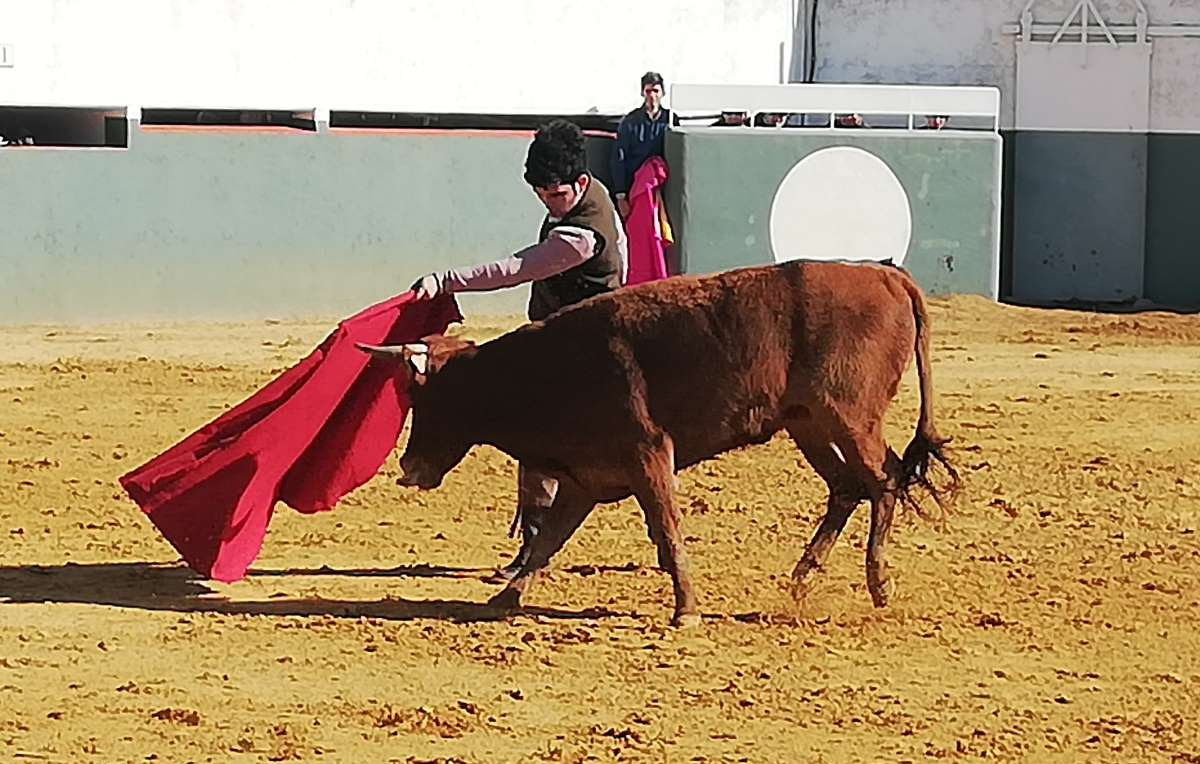 Gran arranque en Mérida del Bolsín 2025 con buen nivel entre los novilleros y excelente ganado
