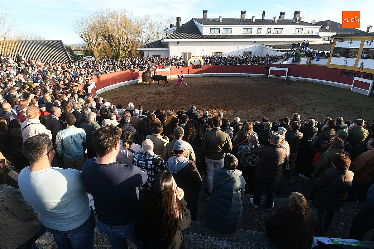Los mirobrigenses acuden de forma masiva a la final del Bolsín Taurino