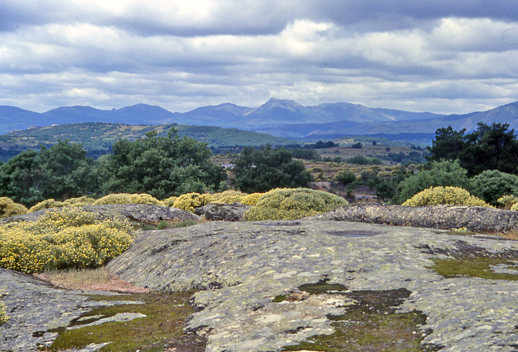 Gestores del territorio 