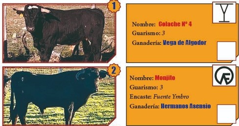 El Bolsín desvela la identidad de los machos que protagonizarán su final