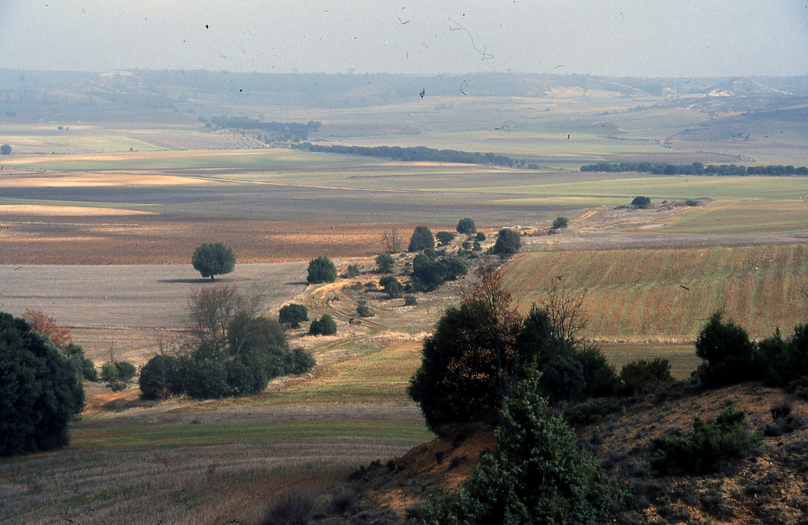 Desiertos demográficos 