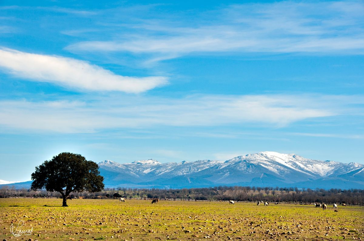 La montaña y la vida